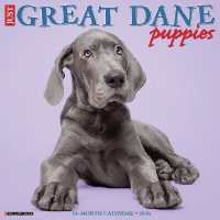 Great Dane Puppies 2026 12 X 12 Wall Calendar