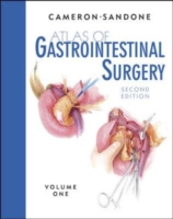 胃腸病外科アトラス（第２版・全２巻）第１巻<br>Atlas of Gastrointestinal Surgery, Volume 1 （2ND）