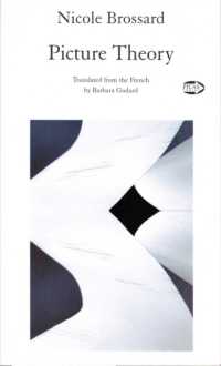 Picture Theory (Picas series)