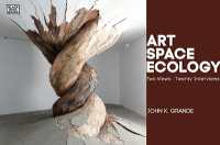 Art, Space, Ecology - Two Views-twenty Interviews -- Paperback / softback