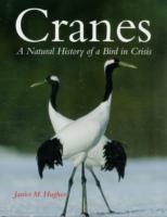 Cranes : A Natural History of a Bird in Crisis