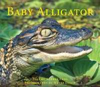 Baby Alligator (Nature Babies)