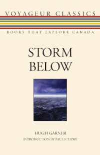 Storm below