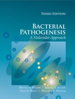 細菌の病原性：分子的アプローチ（第３版）<br>Bacterial Pathogenesis : A Molecular Approach （3 Revised）