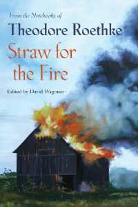 Straw for the Fire : From the Notebooks of Theodore Roethke