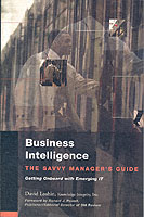 Business Intelligence : The Savvy Manager's Guide (The Savvy Manager's Guides)