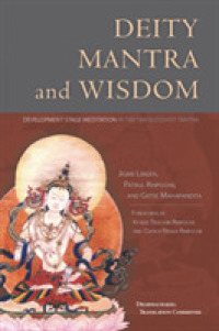 Deity, Mantra, and Wisdom : Development Stage Meditation in Tibetan Buddhist Tantra