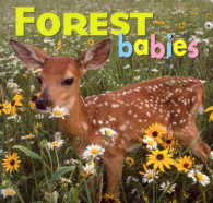 Forest Babies （Board Book）