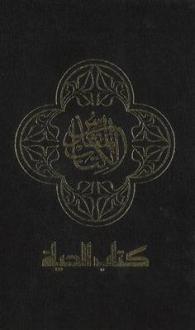 Holy Bible : New American Version, Arabic Contemporary Bible, Black （LRG）