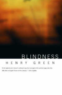 Blindness (British Literature Series) -- Paperback / softback