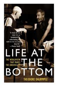 Life at the Bottom : The Worldview That Makes the Underclass