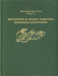Excavations at Ancient Nabratein: Synagogue and Environs (Meiron Excavation Project Reports)