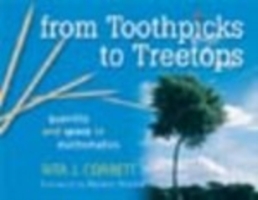 From Toothpicks to Treetops : Quantity and Space in Mathematics