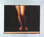 Pictures of Paintings : Photographs by Richard Misrach (Blindspot Book) （SLP）