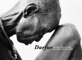 Darfur : Twenty Years of War and Genocide in Sudan （1ST）