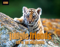 Jungle Friends -- Paperback / softback