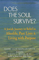 Does the Soul Survive? : A Jewish Journey to Belief in Afterlife, Past Lives & Living with Purpose