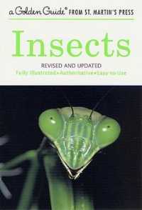 Insects : Revised and Updated (Golden Guide from St. Martin's Press) （Revised, Updated）