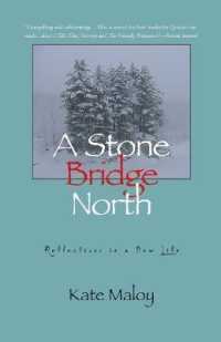 The Stone Bridge North