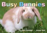 Busy Bunnies (A Busy Book) （Board Book）