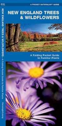 New England Trees & Wildflowers : A Folding Pocket Guide to Familiar Species (Pocket Naturalist Guide Series)