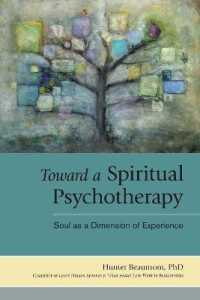 Toward a Spiritual Psychotherapy : Soul as a Dimension of Experience