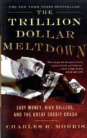 Trillion Dollar Meltdown : Easy Money, High Rollers and the Great Credit Crash -- Paperback