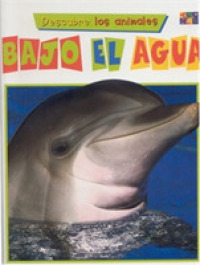 Bajo El Agua (First Look at Animals)