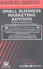 Small Business Marketing Advisor : Leading Chief Marketing Officers Reveal the Marketing Secrets That Can and Should Be Used by Small Businesses (Bigw