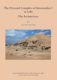 The Pyramid Complex of Amenemhat I at Lisht : The Architecture (Egyptian Expedition Publications of the Metropolitan Museum of Art)
