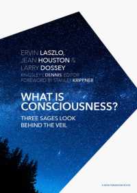 What is Consciousness? : Three Sages Look Behind the Veil (A New Paradigm Book)