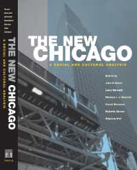 The New Chicago : A Social and Cultural Analysis