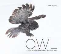 Owl : A Year in the Lives of North American Owls
