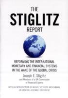 スティグリッツ・レポート：国際金融改革への提言<br>The Stiglitz Report : Reforming the International Monetary and Financial Systems in the Wake of the Global Crisis