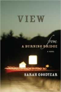VIEW FROM a BURNING BRIDGE