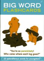 Big Word : Flashcards （BOX CRDS）