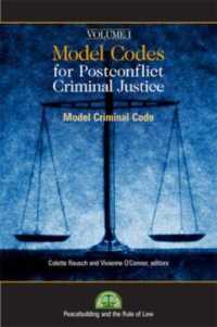 Model Codes for Post-conflict Criminal Code