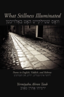 What Stillness Illuminated: Poems in English, Yiddish, and Hebrew (Free Verse Editions")