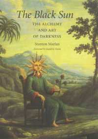 The Black Sun Volume 10 : The Alchemy and Art of Darkness (Carolyn and Ernest Fay Series in Analytical Psychology)