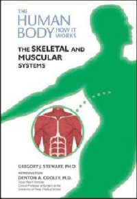 The Skeletal and Muscular Systems (Human Body: How It Works)