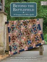 Beyond the Battlefield : 14 Scrappy Civil War Quilts