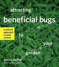 Attracting Beneficial Bugs to Your Garden : A Natural Approach to Pest Control