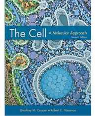 The Cell a Molecular Approach 7e Pi -- Hardback