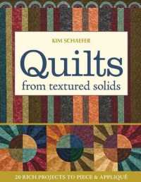 Quilts from Textured Solids : 20 Rich Projects to Piece & Applique