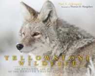 Yellowstone Wildlife : Ecology and Natural History of the Greater Yellowstone Ecosystem