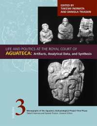 Life and Politics at the Royal Court of Aguateca, Volume 3 : Artifacts, Analytical Data, and Synthesis (Monographs of the Aguateca Archaeological Project First Phase)