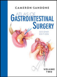 胃腸病外科アトラス（第２版・全２巻）第２巻<br>Atlas of Gastrointestinal Surgery 〈2〉 （2ND）