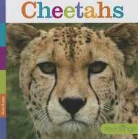 Cheetahs (Seedlings) （Library Binding）