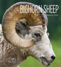 Bighorn Sheep (Living Wild) （Library Binding）