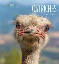 Ostriches (Living Wild) （Library Binding）